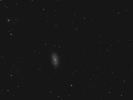 Balkenspirale (NGC 2903) im Leo