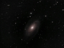 Bodesche Galaxie (M 81) im UMa