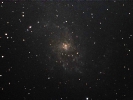 Dreiecksgalaxie (M33) im Tri
