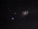 Spiral-Galaxie (NGC 2403) im Cam