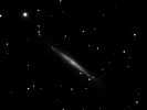 Silbernadel-Galaxie (NGC 4244) im CVn