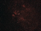 Schmetterlingsnebel (IC 1318) im Cyg