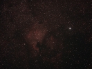 Nordamerikanebel (NGC 7000) im Cyg