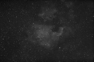 Nordamerika-Nebel (NGC 7000) im Cyg