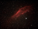 NGC 1499 Californianebel