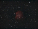 Affenkopfnebel (NGC 2174) im Ori