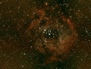 Rosettennebel (NGC 2244), im Mon