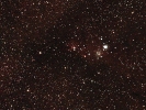 Weihnachtsbaum-Nebel (NGC 2264) im Mon