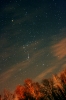 Orion am Horizont